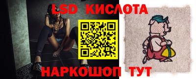PSILOCYBIN Заводоуковск
