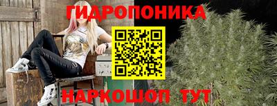 PSILOCYBIN Заводоуковск